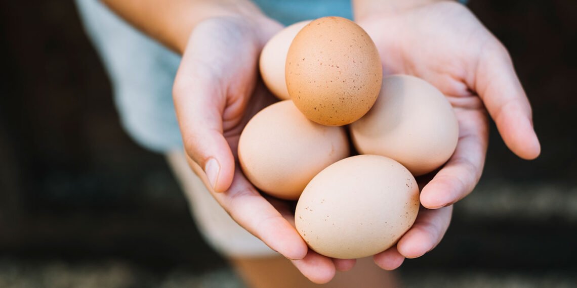 Un solo huevo aporta el 50% de las proteínas que requiere un niño de entre uno y tres años (FreePick).