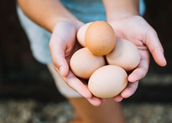 Un solo huevo aporta el 50% de las proteínas que requiere un niño de entre uno y tres años (FreePick).