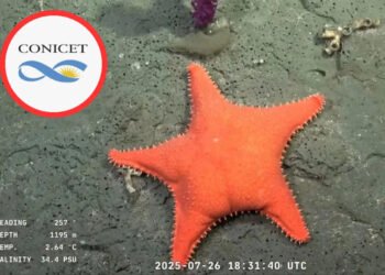 La nueva expedición del Conicet (imgenweb).