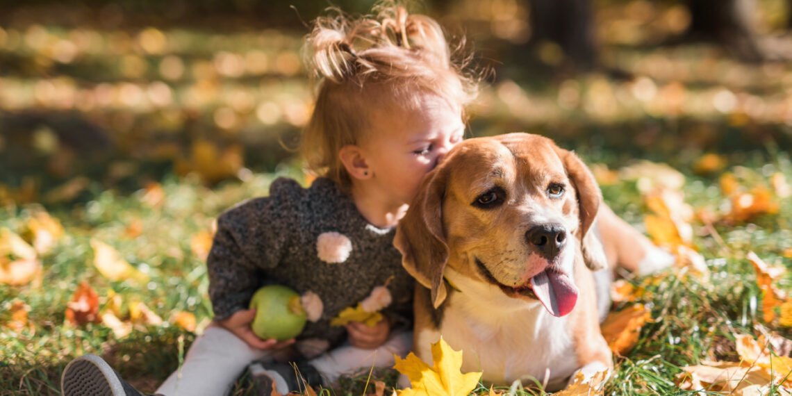 La exposición temprana a los alérgenos caninos podría disminuir casi a la mitad las probabilidades de que un niño desarrolle asma (FreePick).