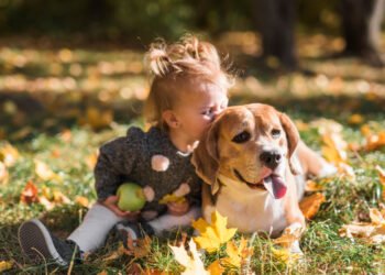 La exposición temprana a los alérgenos caninos podría disminuir casi a la mitad las probabilidades de que un niño desarrolle asma (FreePick).