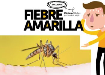 Lo que tenés que saber sobre la fiebre amarilla y las medidas de prevención (Ministerio de Salud).