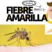 Lo que tenés que saber sobre la fiebre amarilla y las medidas de prevención (Ministerio de Salud).