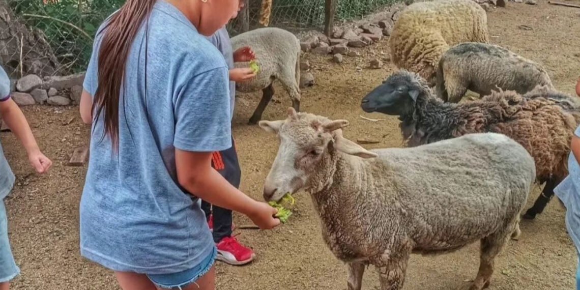 (Gentileza La Granja del Señor Brito).