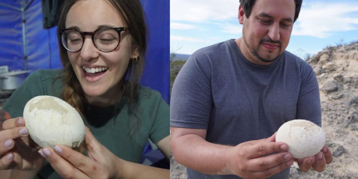 Científicos del Conicet muestran e huevo de dinosaurio que hallaron en la Patagonia (Conicet).