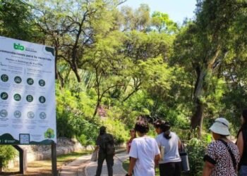 Día de la Educación Ambiental: una propuesta gratuita para chicas y chicos en Córdoba con  safari fotográfico, aves y semillas
