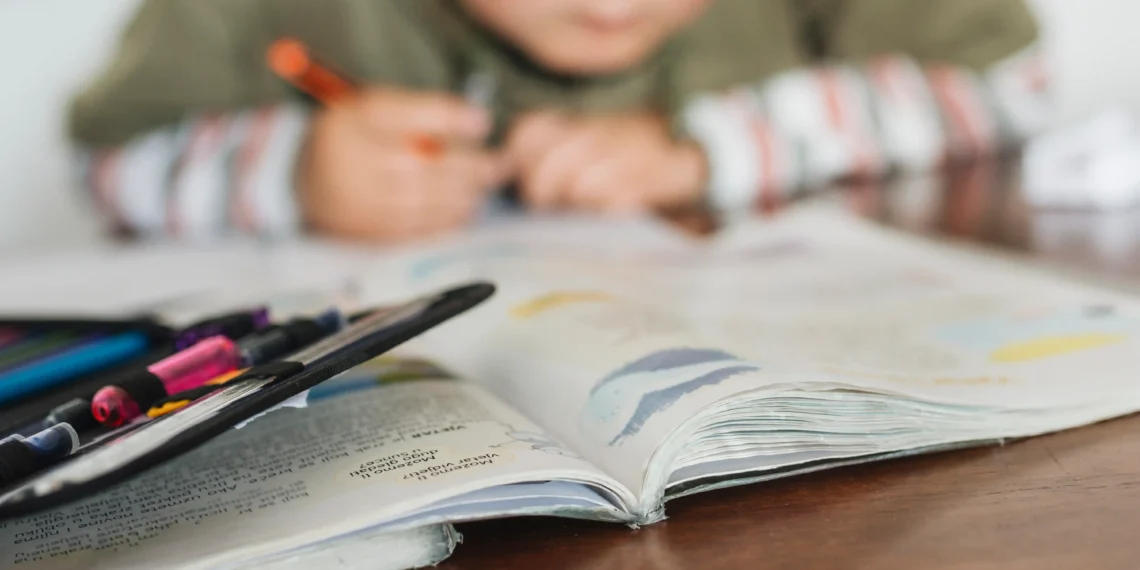 A dos años del Plan Nacional de Alfabetización: avances en inversión y capacitación, pero aún hay desafíos en la implementación