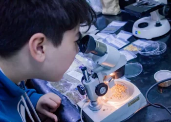 Vacaciones de invierno en Córdoba: la UNC invita a descubrir la ciencia con juegos, experimentos y actividades gratuitas