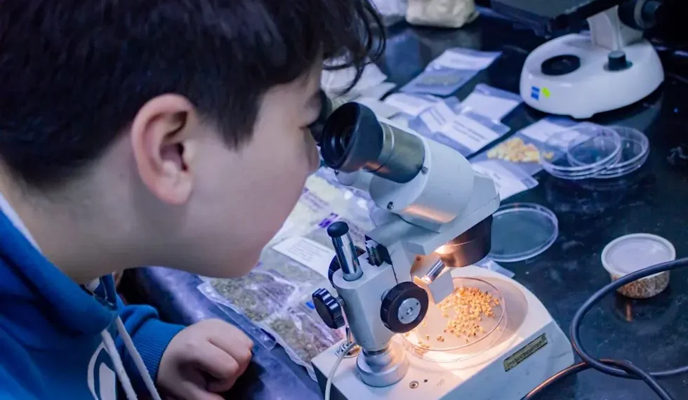 Vacaciones de invierno en Córdoba: la UNC invita a descubrir la ciencia con juegos, experimentos y actividades gratuitas
