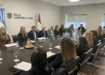 Córdoba busca crear la figura del coordinador parental para proteger a chicos atrapados en conflictos familiares