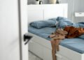 Cama, habitación de un adolescente (Magnific).